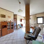 Rent 3 bedroom apartment of 76 m² in Roma