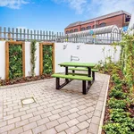 Rent 2 bedroom flat in Brighton