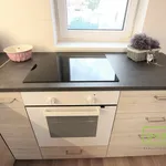 Rent 1 bedroom apartment in Vyškov