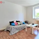 Rent 4 bedroom apartment of 80 m² in Vyškov