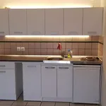 Appartement de 26 m² avec 1 chambre(s) en location à Strasbourg