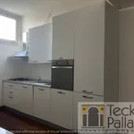 Rent 5 bedroom house of 235 m² in Vicenza