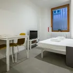 Rent 2 bedroom apartment of 25 m² in Udine