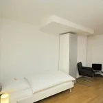 Miete 1 Schlafzimmer wohnung von 21 m² in Zürich