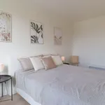 Rent 1 bedroom apartment in Kortrijk