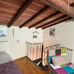 Rent 1 bedroom apartment of 50 m² in Pisa