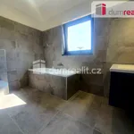 Rent 1 bedroom house of 113 m² in Tlustovousy