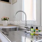 Rent 1 bedroom apartment of 50 m² in Bologna