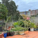 Rent 1 bedroom apartment in Sydney