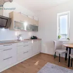 Rent 1 bedroom apartment in Praha 4