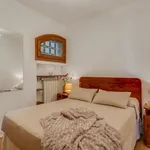 Rent 1 bedroom apartment of 40 m² in Florence