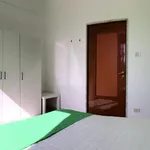 Rent 6 bedroom apartment in Bari