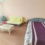 Rent 1 bedroom apartment in Ostrava