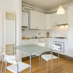 Rent 1 bedroom apartment of 30 m² in Firenze