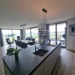 Huur 3 slaapkamer appartement van 125 m² in Lent