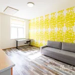 Rent 1 bedroom apartment in Prague