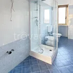 Rent 2 bedroom apartment of 60 m² in Moncalieri