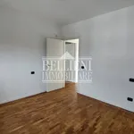 Rent 3 bedroom apartment of 85 m² in Vicenza