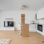 Rent 1 bedroom apartment in Prague