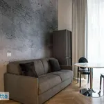 Rent 2 bedroom apartment of 50 m² in Milan