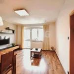 Rent 3 bedroom apartment of 73 m² in Zlín