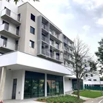 Pronajměte si 1 ložnic/e byt o rozloze 72 m² v Pardubice