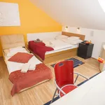 Miete 1 Schlafzimmer wohnung in Vienna