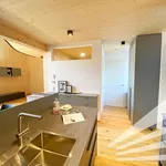 Miete 3 Schlafzimmer wohnung von 70 m² in Linz