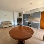 Rent 2 bedroom apartment of 57 m² in Rome