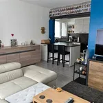 Rent 1 bedroom apartment in SCHELLE