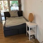 Rent 5 bedroom apartment in Frankfurt