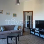 Rent 3 bedroom apartment of 60 m² in Gallese