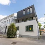 Rent 1 bedroom apartment in Vilvoorde