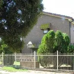 Rent 1 bedroom apartment in NSW