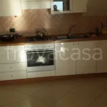 Rent 2 bedroom apartment of 60 m² in Frosinone