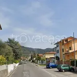 Rent 3 bedroom apartment of 75 m² in Massarosa