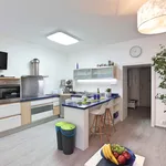 Rent 1 bedroom apartment of 56 m² in Prague