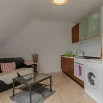 Rent 1 bedroom apartment of 35 m² in Dusseldorf