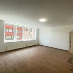 Rent 1 bedroom apartment of 36 m² in Capital City of Prague