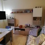 Rent 1 bedroom apartment of 80 m² in bologna