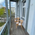 Rent 1 bedroom apartment of 60 m² in Dresden