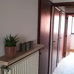 Rent 1 bedroom apartment in Asse