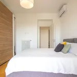 Rent 1 bedroom apartment in Milano