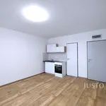 Pronájem bytu 1+kk 20m²