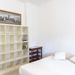 Rent 1 bedroom apartment in rome