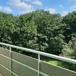 Rent 3 bedroom apartment of 60 m² in Kassel