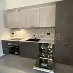 Rent 2 bedroom apartment of 45 m² in Turin