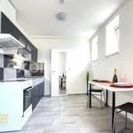 Rent 2 bedroom apartment of 36 m² in Zlín