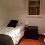 Rent 3 bedroom apartment in Lisbon