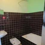 Rent 1 bedroom house of 67 m² in Rodez